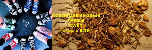 ГАЛЛЮЦИНОГЕННЫЕ ГРИБЫ Магас